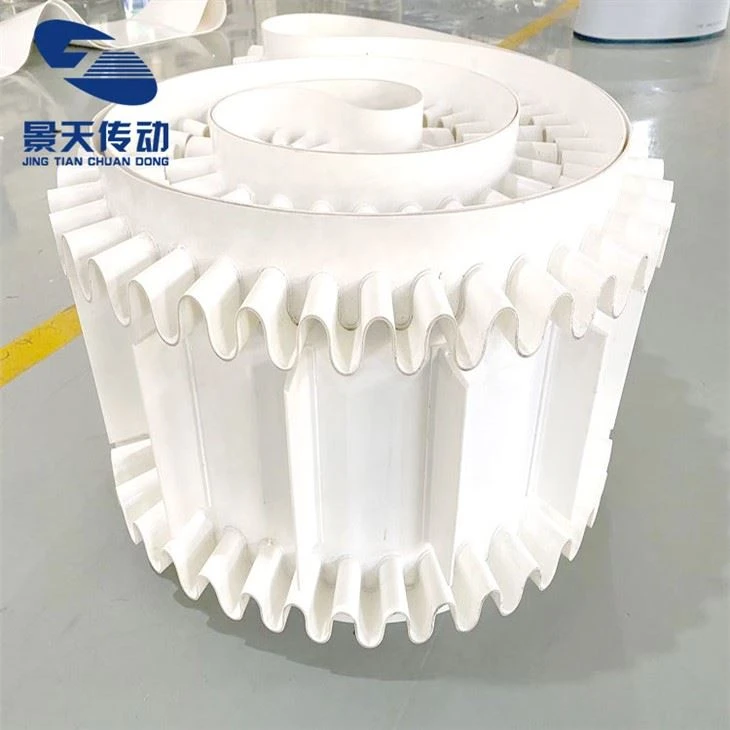 info-1-1 Incline Conveyor Belt With Cleats
